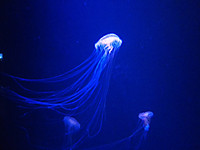 Img_20250702_144909