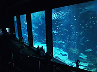 Img_20250702_144956
