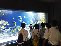 Img_20250702_145133_3
