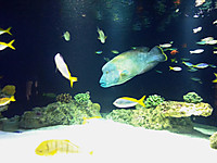 Img_20250702_145144_2