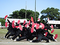 Cimg3951