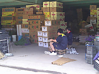 Dscf0005
