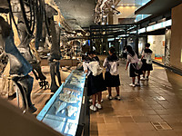 Img_0161