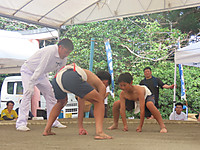 Img_1320 Img_1320